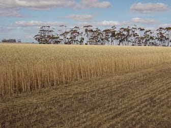 305 Berrybank-Wallinduc Road Berrybank VIC 3323 - Image 3
