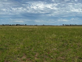 Lot 1 & 2 Mount Terricks Road (Roslynmead) Road Echuca VIC 3564 - Image 2