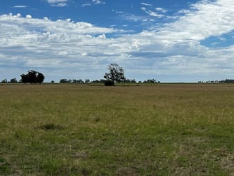 Lot 1 & 2 Mount Terricks Road (Roslynmead) Road Echuca VIC 3564 - Image 3
