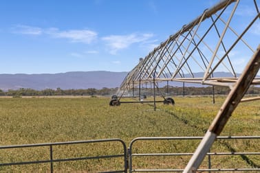 'Bonnie-Doon' Augusta Highway Baroota SA 5495 - Image 3
