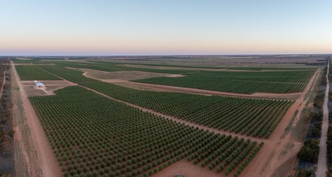 971 Wilga Road Red Cliffs VIC 3496 - Image 2