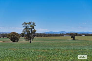 Watta Wella Road Greens Creek VIC 3387 - Image 1