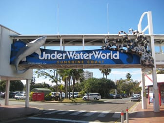 Pool & Water  business for sale in Sunshine Coast Greater Region QLD - Image 2