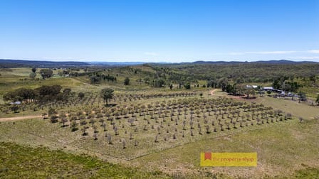 1732 Spring Ridge Road Gulgong NSW 2852 - Image 1