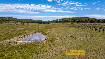 1732 Spring Ridge Road Gulgong NSW 2852 - Image 2