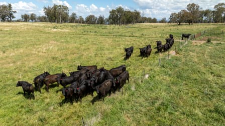 322 Claremont Road Armidale NSW 2350 - Image 3