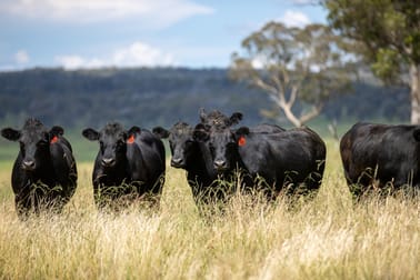 322 Claremont Road Armidale NSW 2350 - Image 1