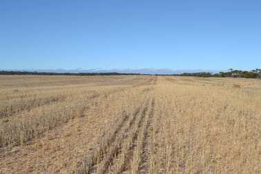 Lot 10 Simpson Road Kyancutta SA 5651 - Image 1