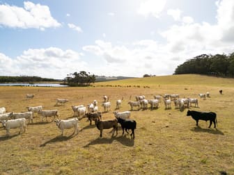 Lot 3583 McDonald Road Kalgan WA 6330 - Image 2
