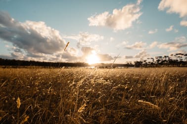 Lot 3583 McDonald Road Kalgan WA 6330 - Image 3