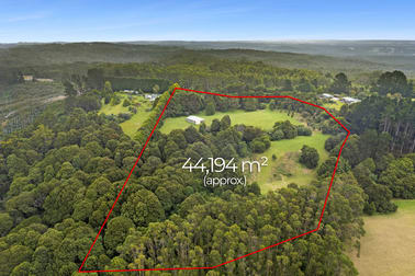 5155 Great Ocean Road Lavers Hill VIC 3238 - Image 2
