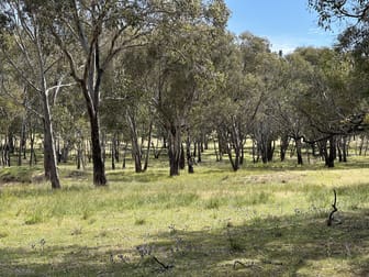 1830 Mount Hope Road Coolah NSW 2843 - Image 3