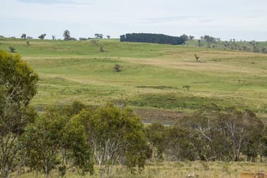 "Austral Park" 4035 Monaro Highway Steeple Flat NSW 2631 - Image 3