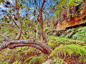 5551 George Downes Drive Bucketty NSW 2250 - Image 1