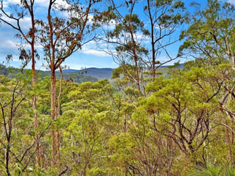 5551 George Downes Drive Bucketty NSW 2250 - Image 2