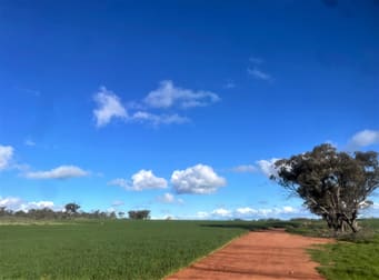Bunjil-Carnamah Road Carnamah WA 6517 - Image 1