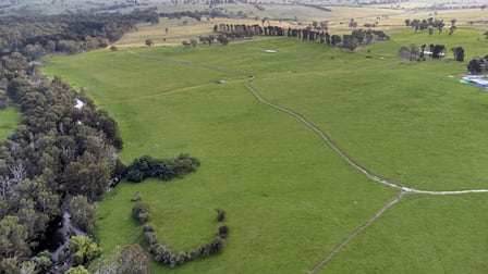 111 Blue Hole Road Castle Doyle NSW 2350 - Image 3
