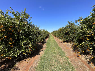 1058 Kidman Way Hanwood NSW 2680 - Image 2