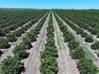 Click to view all images 1058 Kidman Way Hanwood NSW 2680 - Image 2