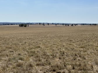 . Albury Road Lockhart NSW 2656 - Image 1