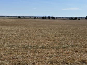 . Albury Road Lockhart NSW 2656 - Image 2