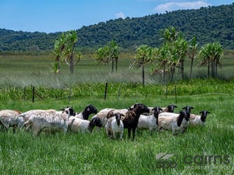 Lot 3/505 Mourilyan Harbour Road Mourilyan Harbour QLD 4858 - Image 2