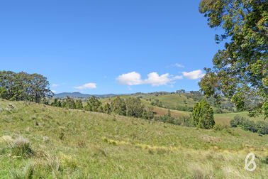 1311 Westbrook Road Singleton NSW 2330 - Image 3