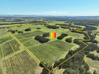 221 Deaseys Road Pokolbin NSW 2320 - Image 1
