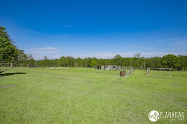 1317 Collombatti Road Collombatti NSW 2440 - Image 3