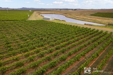 46 Shiraz Drive Gulgong NSW 2852 - Image 2