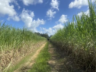 Koumala QLD 4738 - Image 2