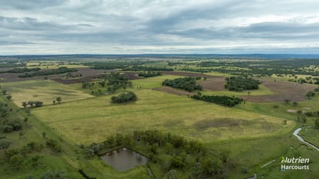 288 Haywood Road Delungra NSW 2403 - Image 2