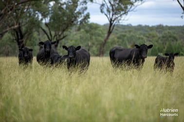 288 Haywood Road Delungra NSW 2403 - Image 3