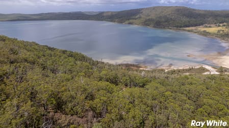 2901 The Lakes Way Bungwahl NSW 2423 - Image 3