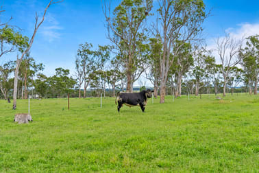 261 Althaus Road Westbrook QLD 4350 - Image 1