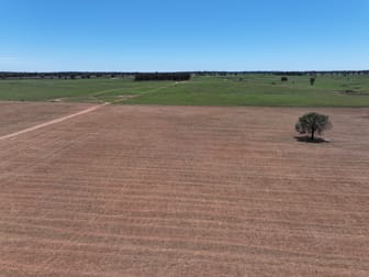 'Mentone' 1521 Bruie Plains Road Trundle NSW 2875 - Image 3