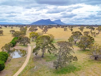 2303 Penshurst-Dunkeld Road Dunkeld VIC 3294 - Image 3