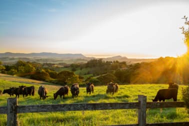 922 Whisky Creek Road Dorrigo NSW 2453 - Image 1
