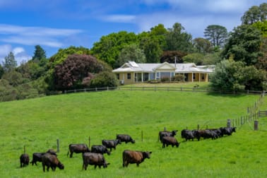 922 Whisky Creek Road Dorrigo NSW 2453 - Image 2
