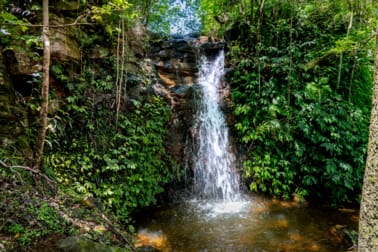 922 Whisky Creek Road Dorrigo NSW 2453 - Image 3