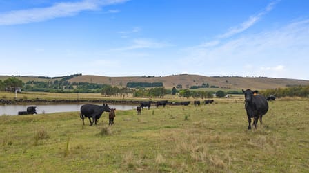 92 Hills Lane Blayney NSW 2799 - Image 2