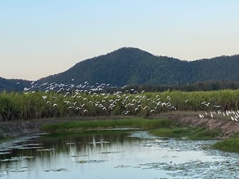 4430 Mackay-Eungella Road Pinnacle QLD 4741 - Image 3