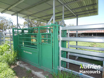 "YOB" 1804 Rennicks Road Chinchilla QLD 4413 - Image 2