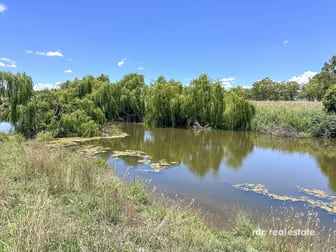 213 Mclachlans Lane Inverell NSW 2360 - Image 3