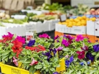 Shop & Retail  business for sale in Oyster Cove - Image 3