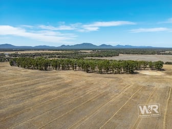 Lot 4828 Filmer Road Kendenup WA 6323 - Image 1