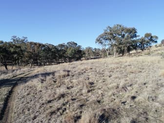 924 Chilcotts Creek Road Willow Tree NSW 2339 - Image 1