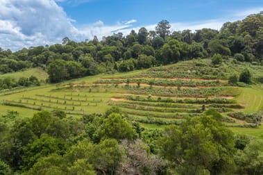 104 Tilbaroo Rd Elands NSW 2429 - Image 1
