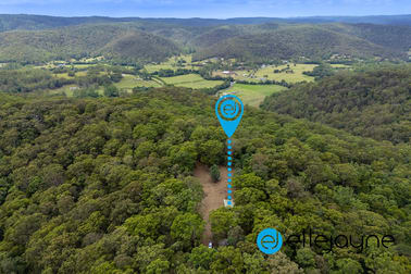 105 Priests Ridge Road Cedar Brush Creek NSW 2259 - Image 1