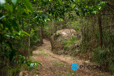 105 Priests Ridge Road Cedar Brush Creek NSW 2259 - Image 3